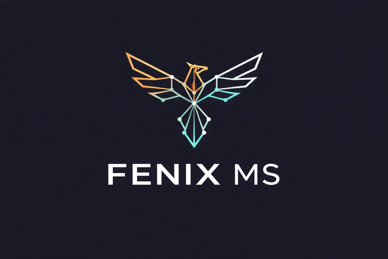 Home Fenix MS
